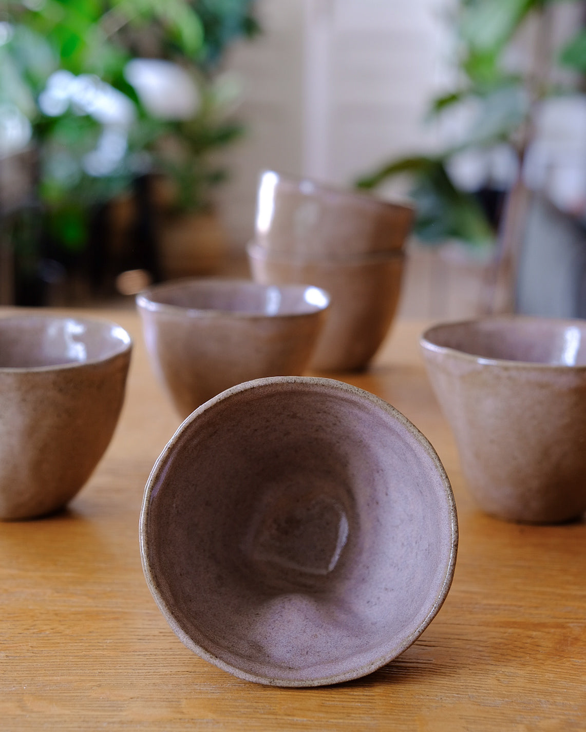 Koko cup