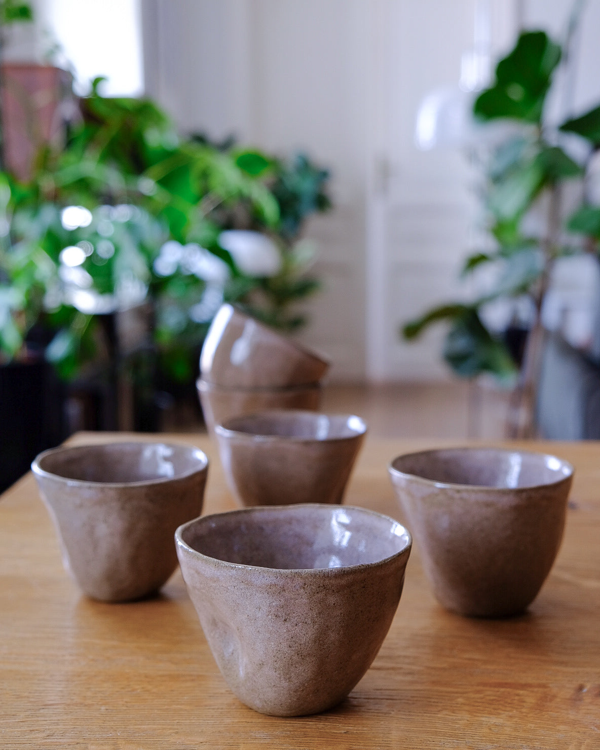 Koko cup