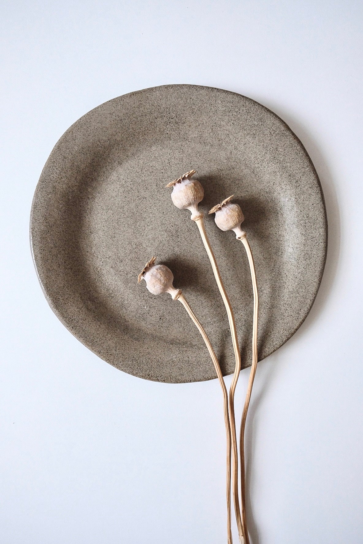 Flat plate